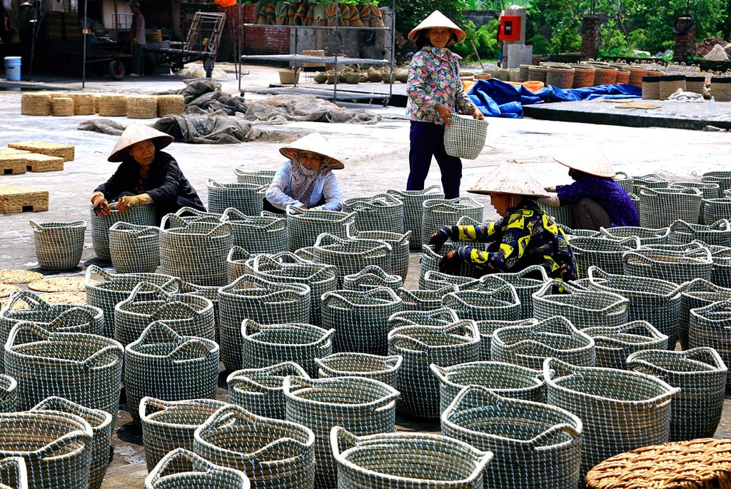 Làng nghề nuôi ong Kim Sơn